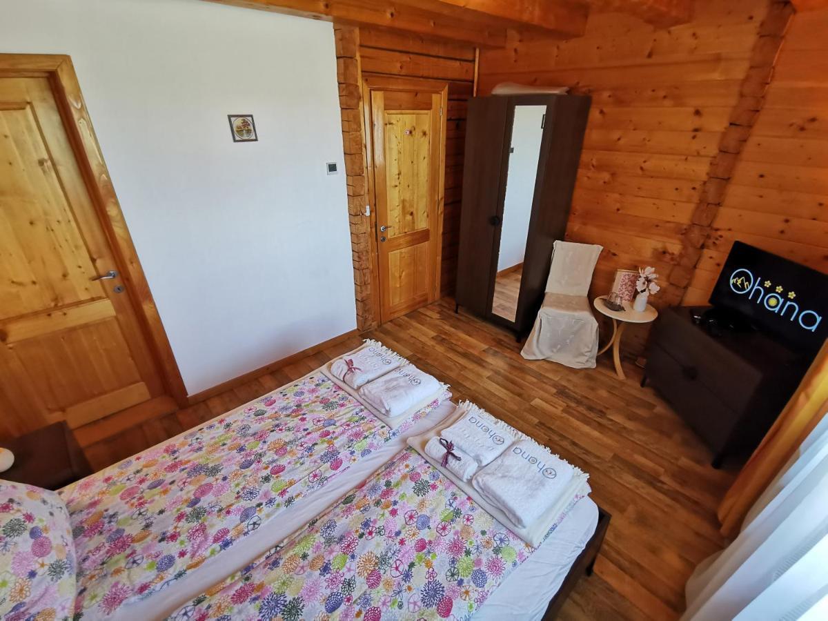 Ohana Boutique Hotel Vistea de Sus المظهر الخارجي الصورة