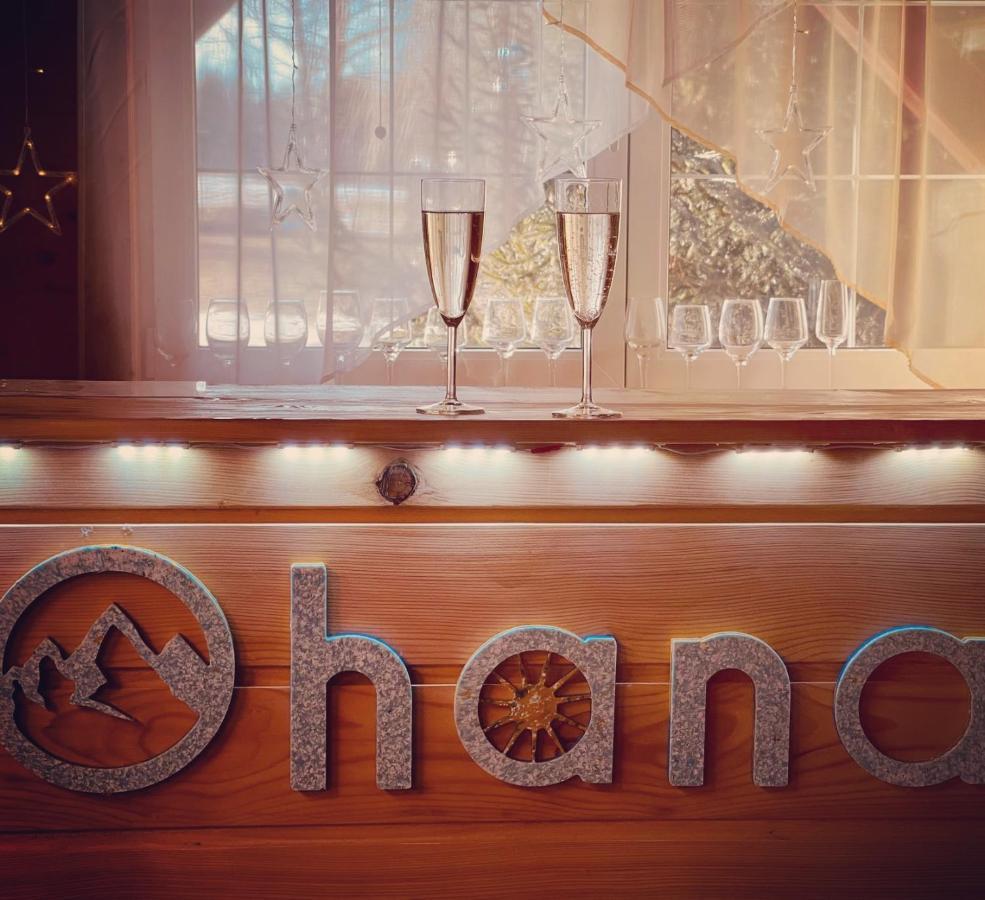 Ohana Boutique Hotel Vistea de Sus المظهر الخارجي الصورة