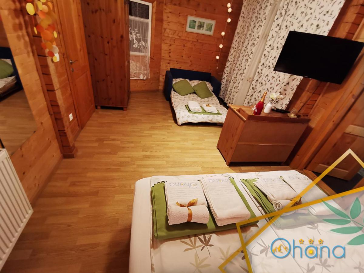 Ohana Boutique Hotel Vistea de Sus المظهر الخارجي الصورة