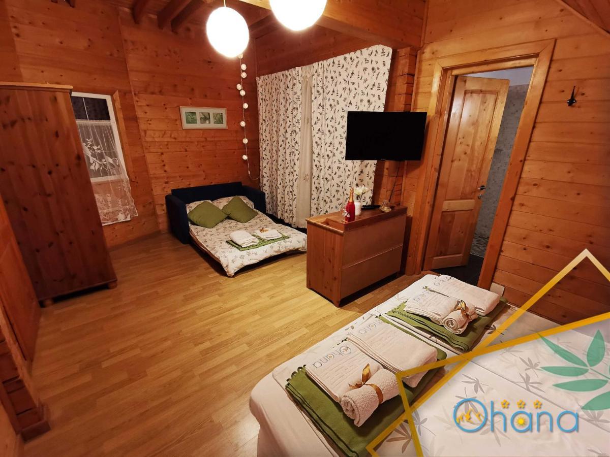 Ohana Boutique Hotel Vistea de Sus المظهر الخارجي الصورة