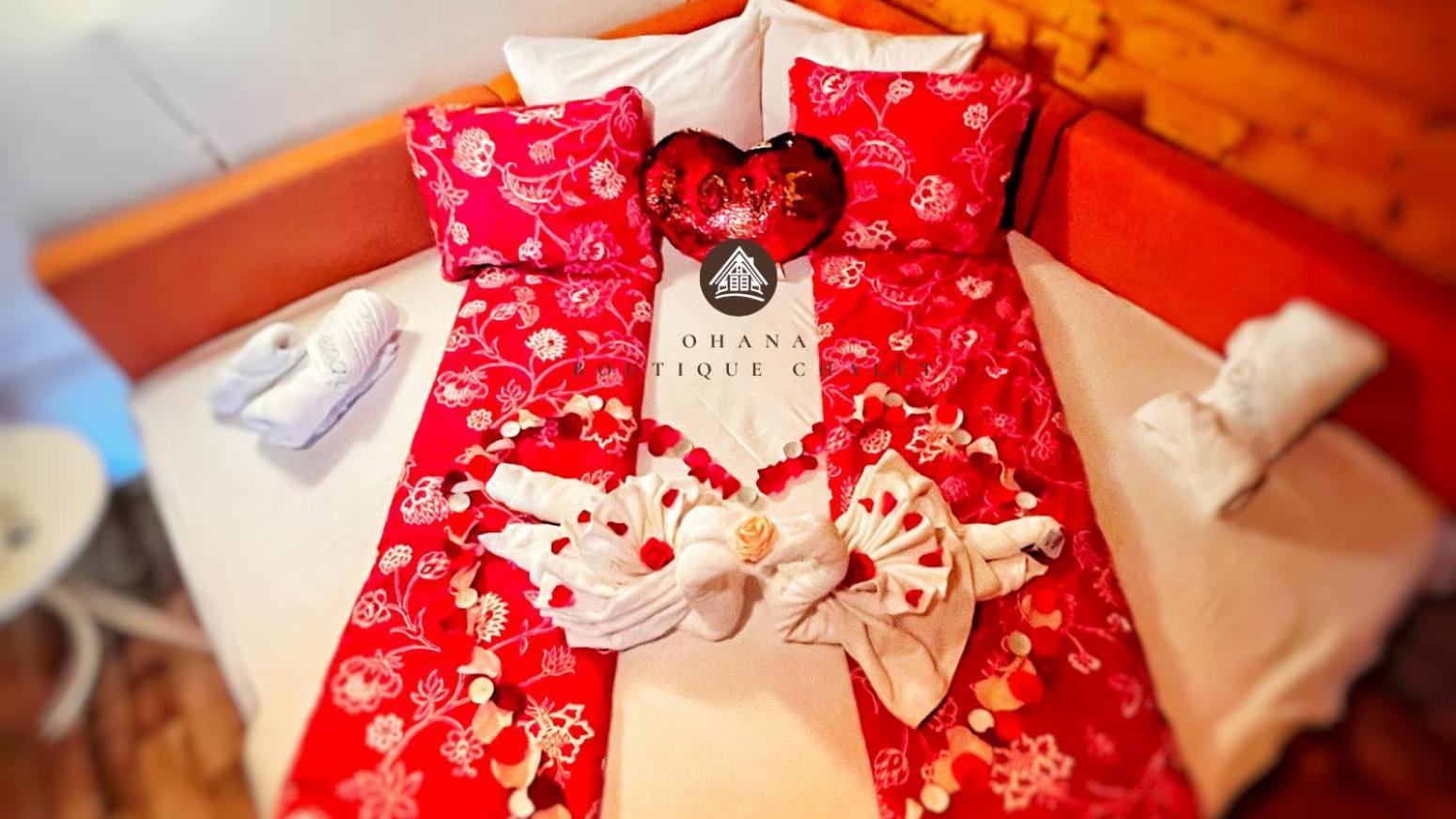 Ohana Boutique Hotel Vistea de Sus المظهر الخارجي الصورة