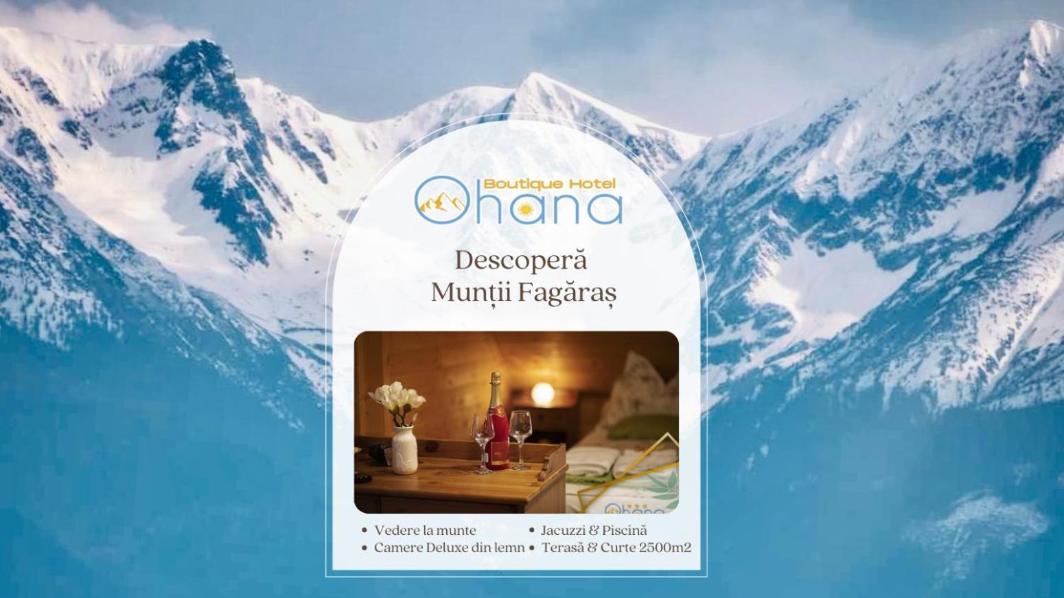 Ohana Boutique Hotel Vistea de Sus المظهر الخارجي الصورة